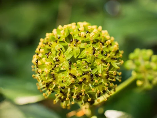 Svet objektívom 2025 – Výsledky 5. kola + celkové výsledky fotosúťaže