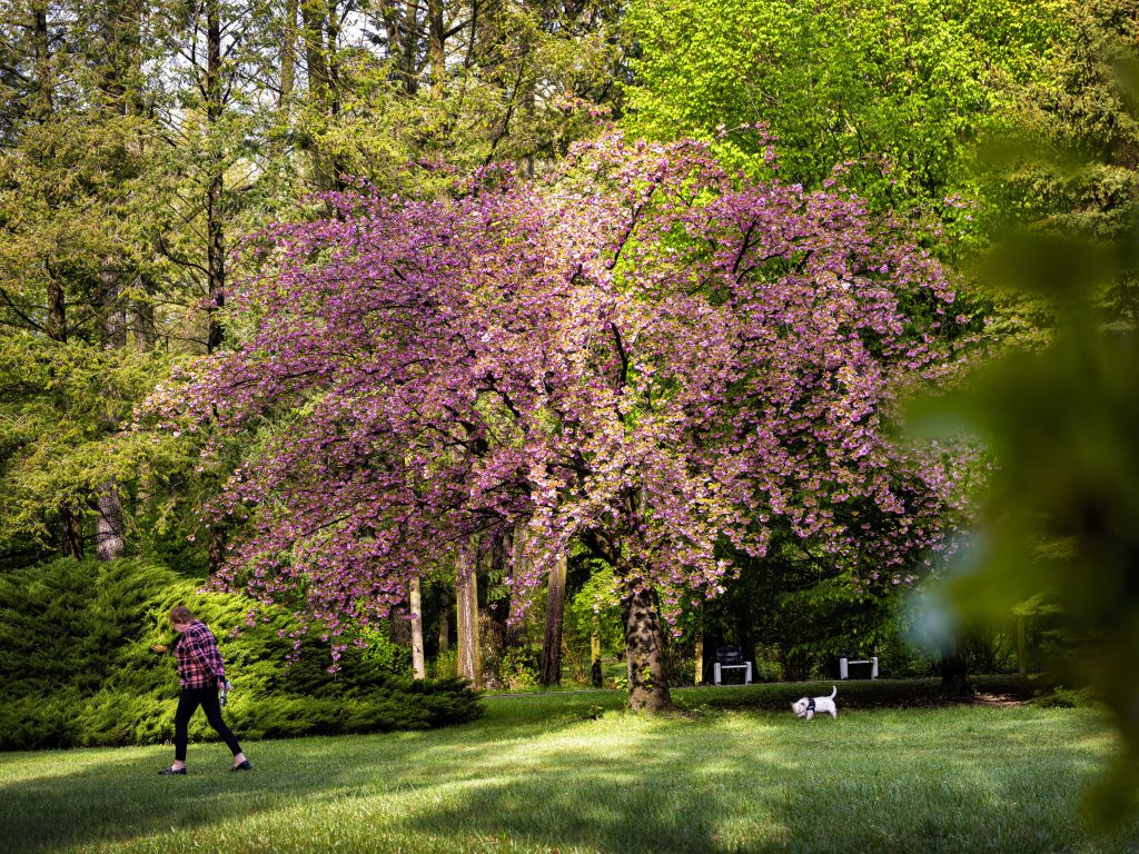 Klub dobrej fotografie Richard Kolárik