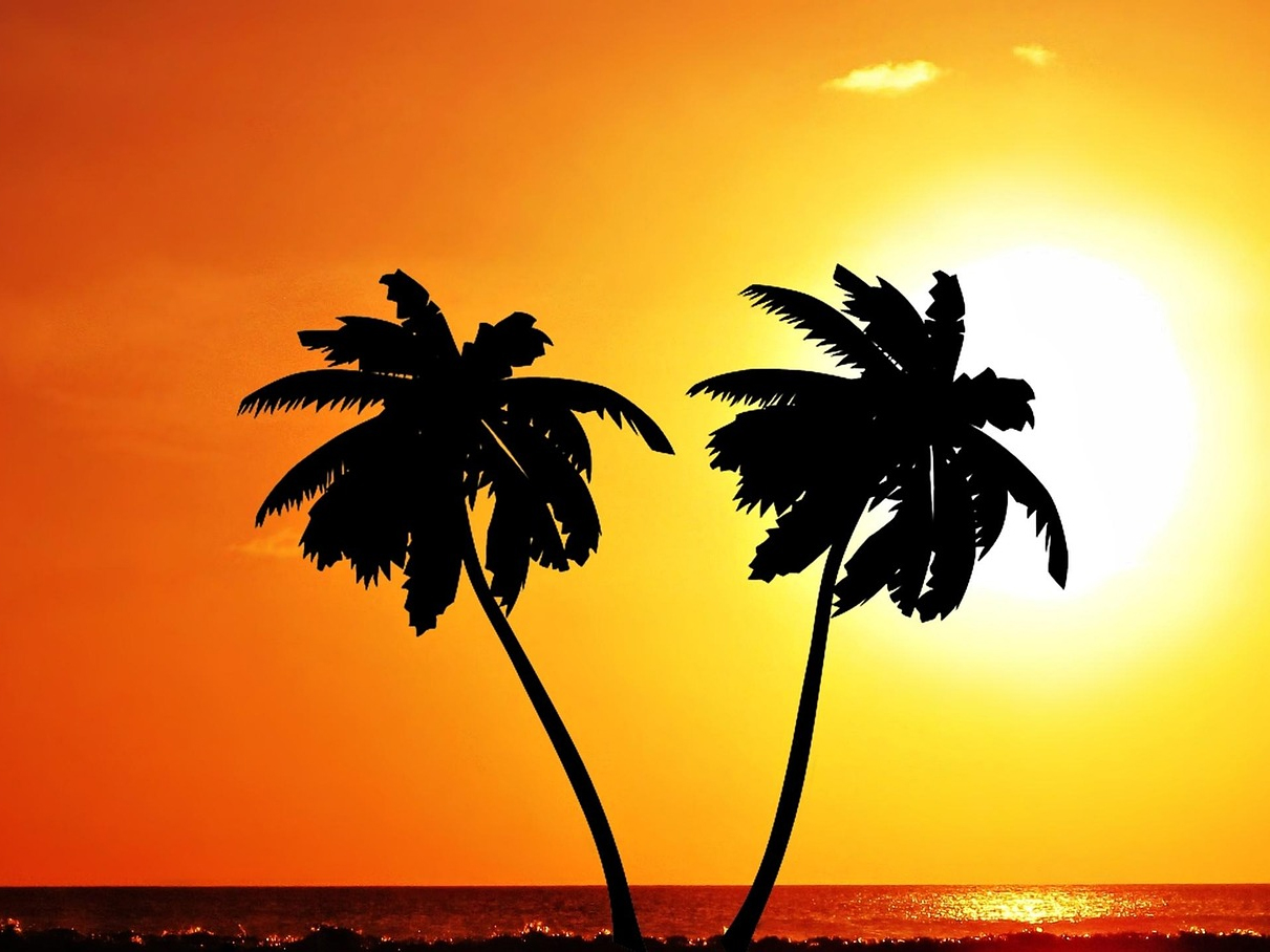 Proti svetlu
termín: 1.3.2026 - 15.4.2026 - Svet objektívom 2026