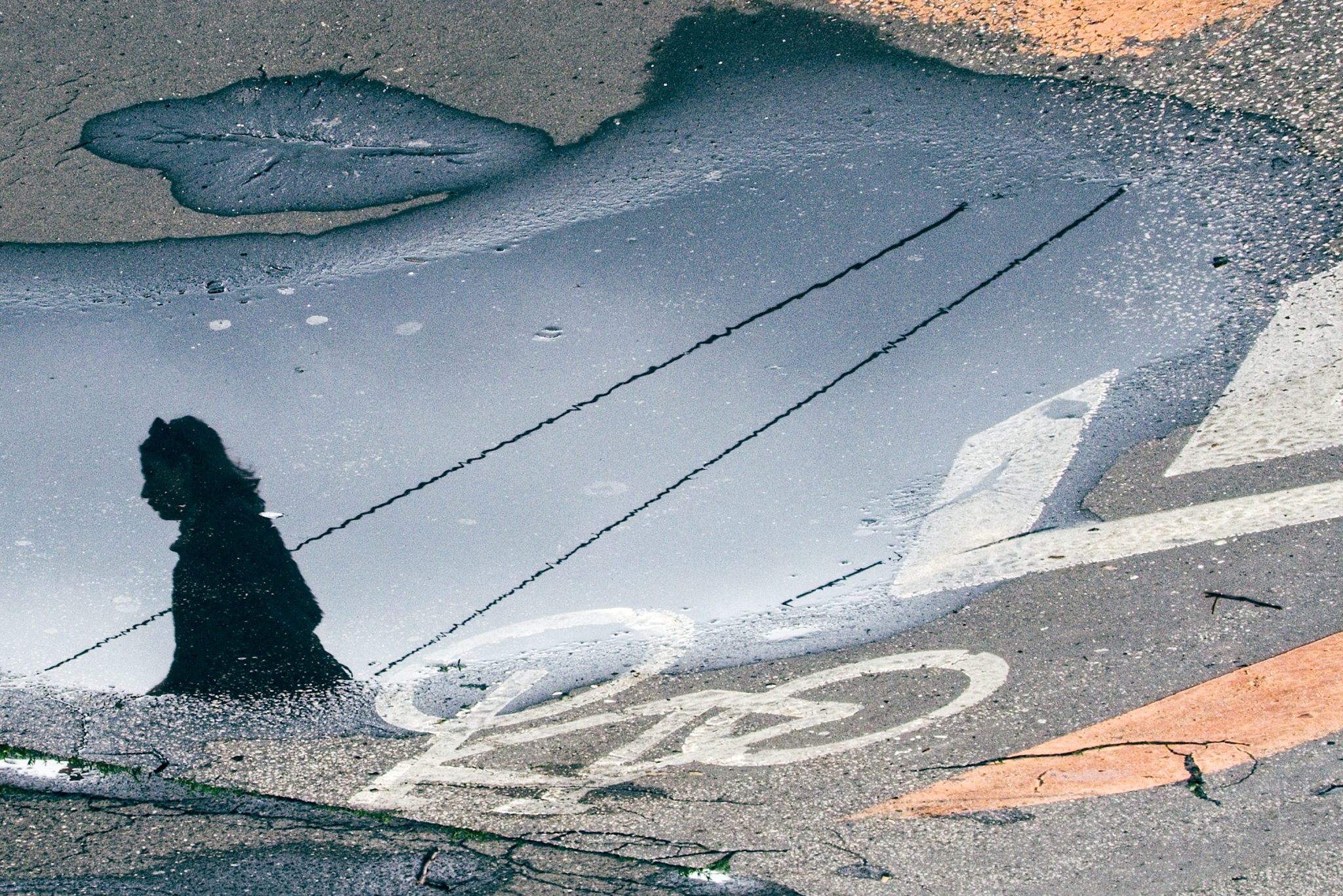 Mestská jazda – Jana Sedláková, výber z výstavy Svet objektívom 2025