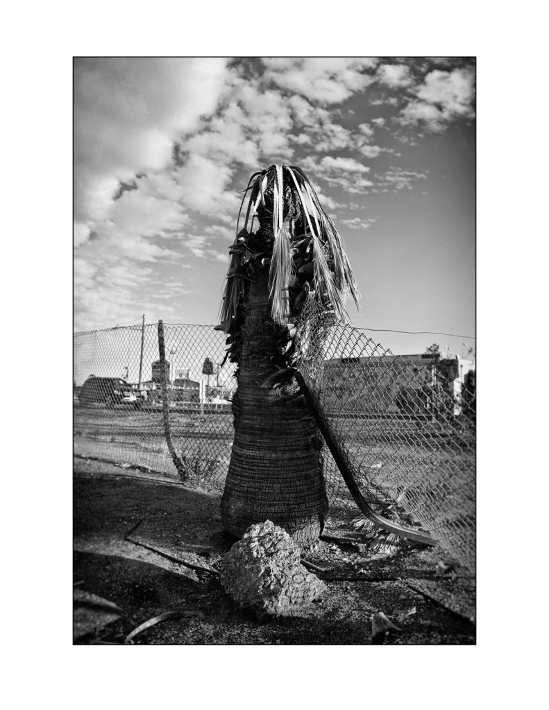 projekt The End Is Near Here Michael Dressel Amerika